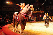 Fotos Wintergala Lilalu im Circus Krone (Foto:Ingrid Grossmann)